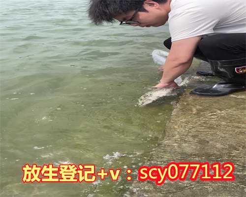 郑州宝安放生池,郑州公园可以放生锦鲤吗,郑州哪里放生鱼最安全