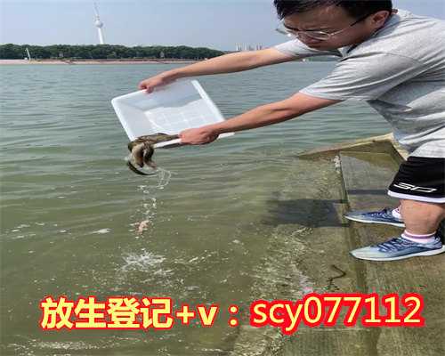 郑州公园放生乌龟，郑州2023佛教寺院放生法会视频，郑州哪里能放生甲鱼