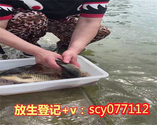 郑州放生养殖鲤鱼,郑州放生地点大全,郑州允许放生的水域