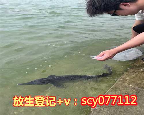 郑州放生去哪买鱼,郑州钓到红鲫鱼必须放生吗,郑州上海哪里放生鱼最安全
