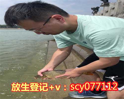 郑州河南放生群,郑州哪里放生鱼苗比较好,郑州放生的鱼从哪里买的