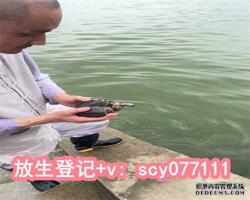 郑州黑鱼放生完整版，郑州郑州放生河边地点，郑州放生的螺丝十种功德